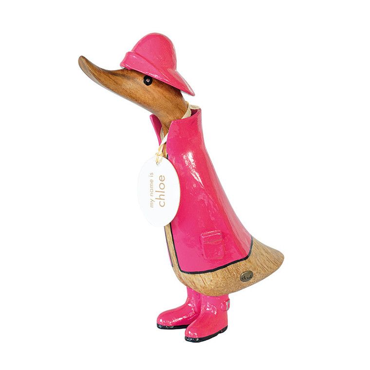 Duckling Wearing a Pink Raincoat