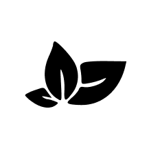 Ícone L-Theanine