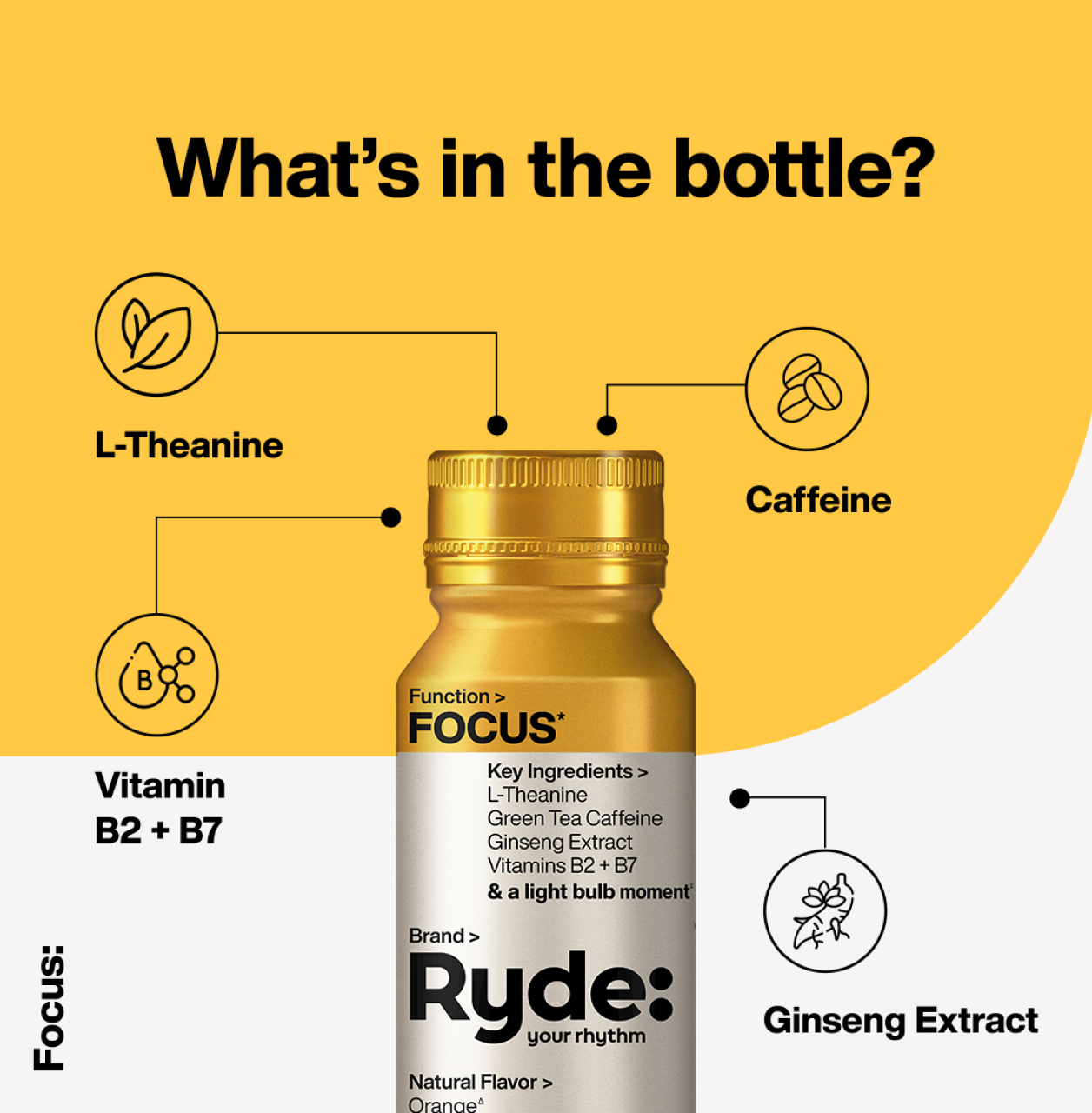 whatsInBottle Image