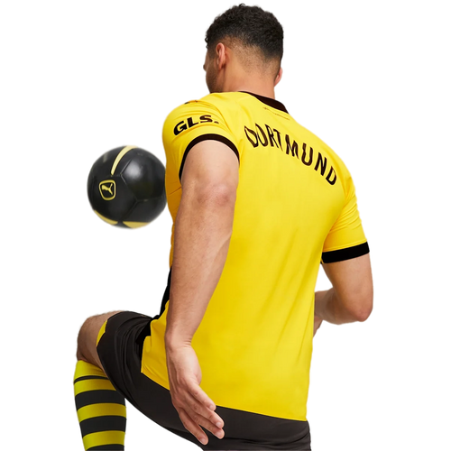 Borussia Dortmund 23/24 Authentic Men's Home Shirt
