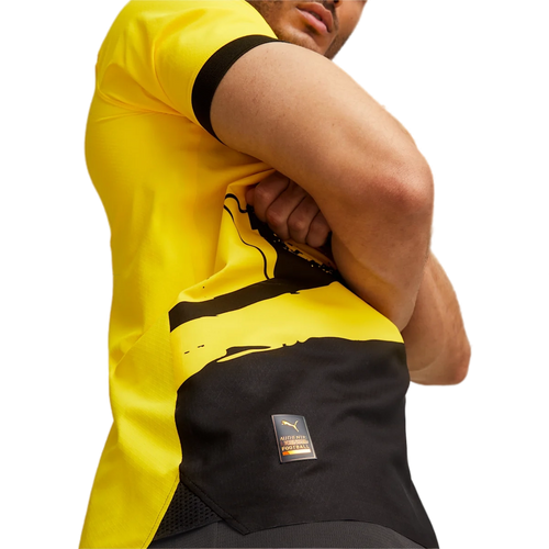 Borussia Dortmund 23/24 Authentic Men's Home Shirt