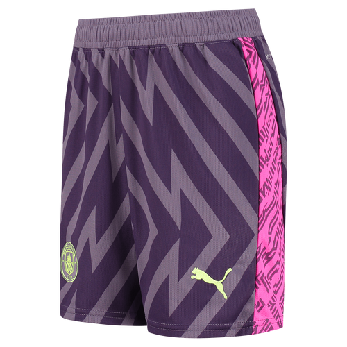 Manchester City 23/24 Men's Purple Goalkeeper Long Sleeve Shirt