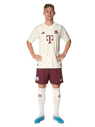 DE LIGT #4 Bayern Munich 23/24 Authentic Men's Third Shirt