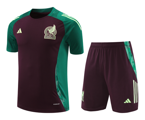 Mexico 2024 Men's Bordeaux Training Shirt