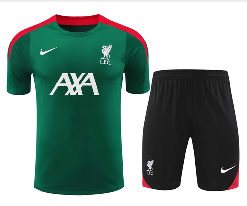 Liverpool 24/25 Men's Green Training Shirt