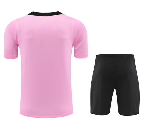 Paris Saint-Germain 24/25 Men's Pink Training Shirt