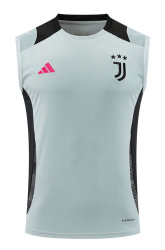 Juventus 24/25 Men's Gray Training Tank Top