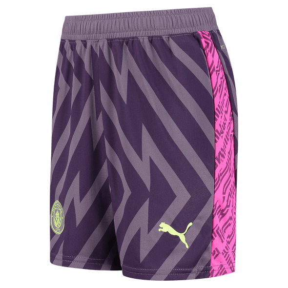 Manchester City 23/24 Men's Purple Goalkeeper Shirt