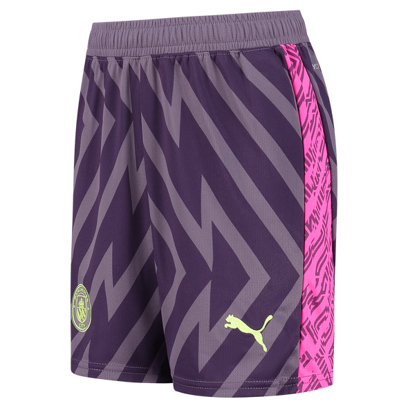 Manchester City 23/24 Men's Purple Goalkeeper Long Sleeve Shirt