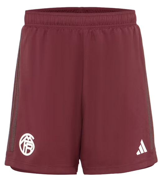 Bayern Munich 23/24 Authentic Men's Third Shirt