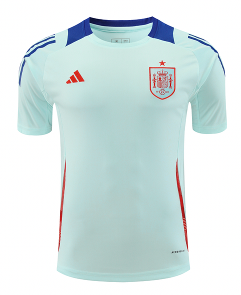 Spain 2024 Men's Light Blue Training Shirt