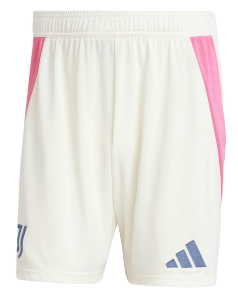 Juventus 24/25 Authentic Men's Away Shirt