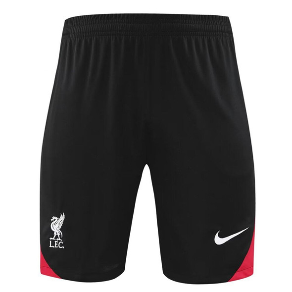 Liverpool 24/25 Men's Green Training Tank Top