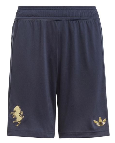 Juventus 24/25 Authentic Men's Third Shirt