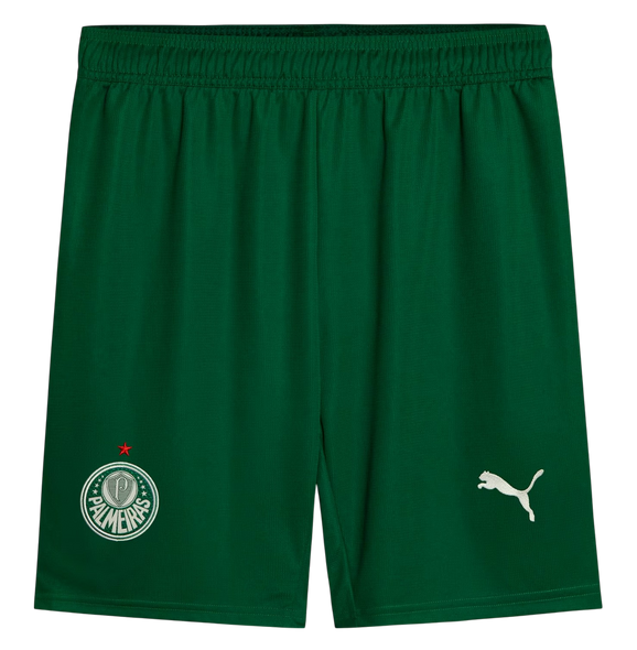 Palmeiras 25/26 Authentic Men's Away Shirt