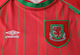 Wales 94/96 Men's Home Retro Shirt