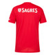 Benfica 24/25 Authentic Men's Home Shirt