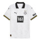Borussia Dortmund 24/25 Stadium Men's Third Shirt