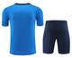 Chelsea 24/25 Men's Blue Training Shirt