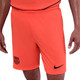 Barcelona 25/26 Men's Third Shorts