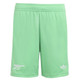 Arsenal 25/26 Kid's Green Goalkeeper Mini-Kit