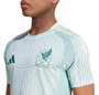 Mexico 2024 Authentic Men's Away Shirt