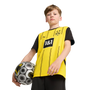 Borussia Dortmund 24/25 Kid's Home Shirt and Shorts