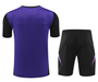 Germany 2024 Men's Purple Training Shirt