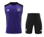 Germany 2024 Men's Purple Training Tank Top