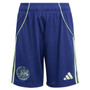 Ajax 25/26 Kid's Away Mini-Kit