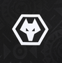 Wolves 25/26 Men's Home Goalkeeper Shirt
