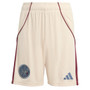 Ajax 25/26 Men's Third Shorts