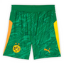 Borussia Dortmund 25/26 Kid's Green Goalkeeper Mini-Kit