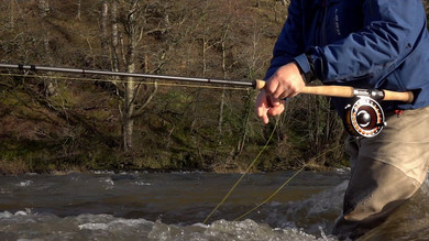 Summer Salmon Tactics Summer Salmon Tactics