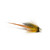 Tailfire Conehead Light