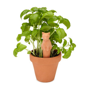 Weekend Plant Feeders