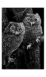 Scratch Art Black Coated 12 pt. Scratchboards (12 boards)