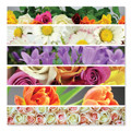 Flower Ribbons Cardboard Jigsaw - 500 Pieces