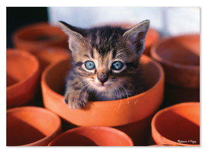 Flowerpot Kitten Cardboard Jigsaw - 60 Pieces