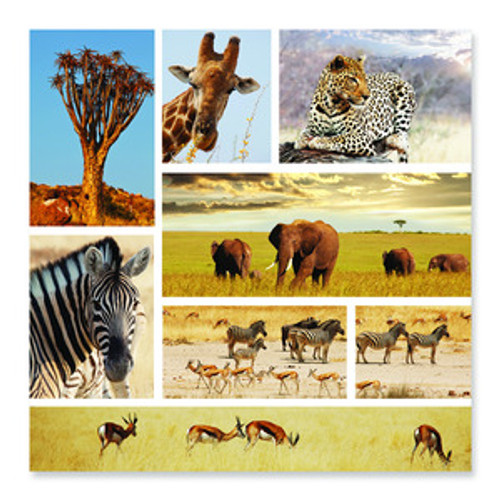 Safari Shapshots Cardboard Jigsaw - 1000 Pieces