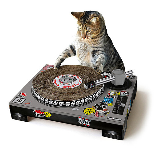 Dj Cat Scratching Pad