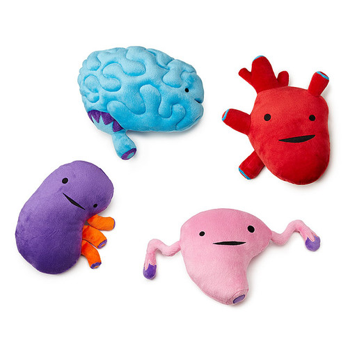 Plush Organs