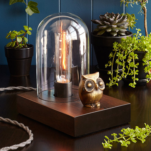 Mr. Owl Touch Lamp