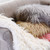 Pink Mongolian Lamb Faux Fur Throw Blanket- 58" x 84" Pink Mongolian Lamb Faux Fur Throw Blanket- 58" x 84"