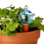 Watering Globe And Plant Nanny Stake
