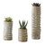 Succulent Starter Planters - Set Of 3