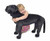 Black Lab Giant Stuffed Animal