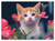 Curious Kitten Cardboard Jigsaw - 30 Pieces