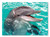 Smiling Dolphin Cardboard Jigsaw - 60 Pieces