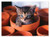 Flowerpot Kitten Cardboard Jigsaw - 60 Pieces